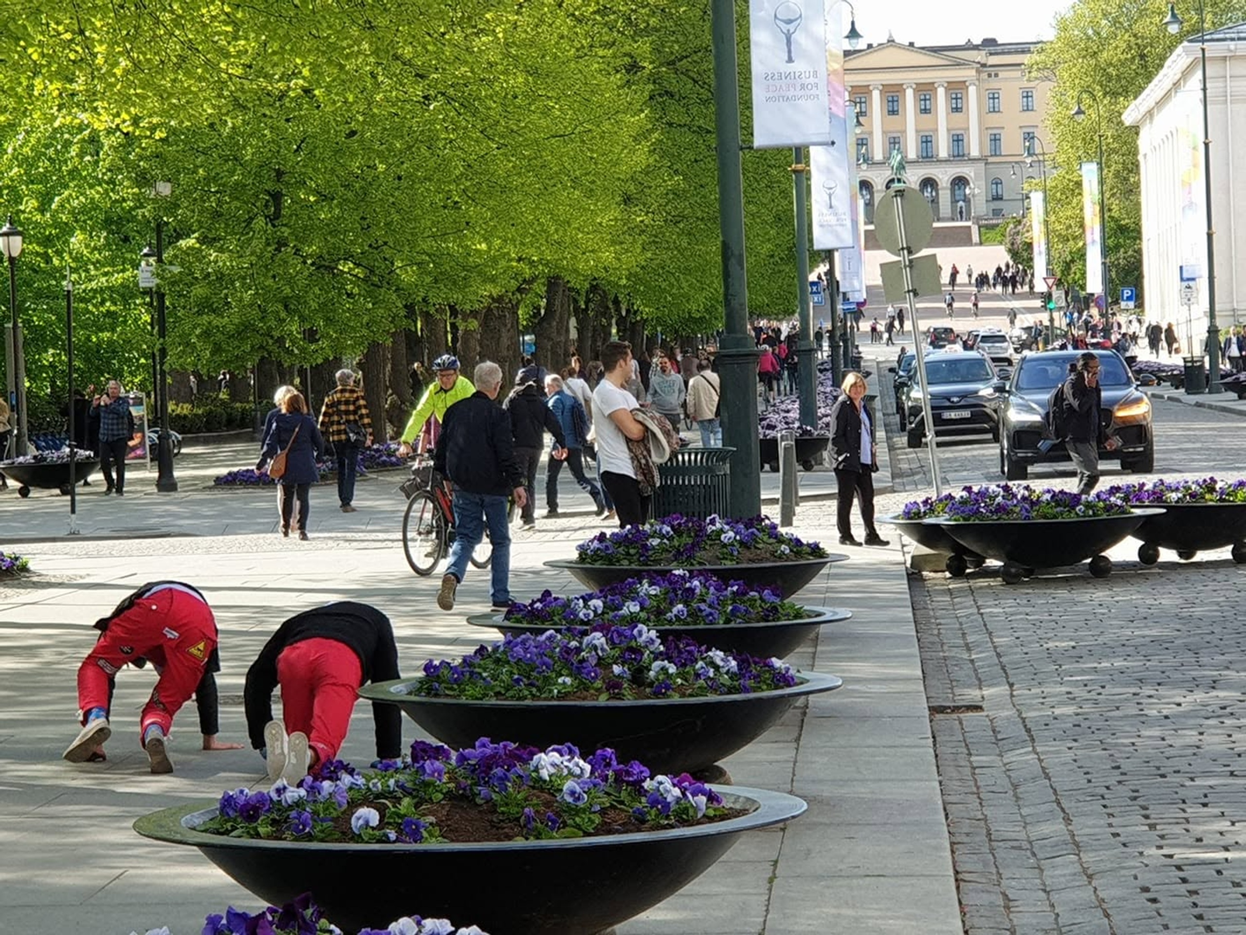 Literaturstadt Oslo